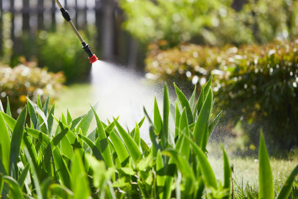 Tamper-Resistant Bait Stations for Rodents in Rensselaer