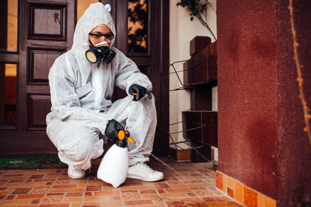Attic and Crawl Space Rodent Treatment in Rensselaer