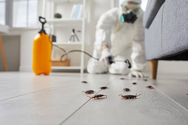 Commercial Rodent Management in Rensselaer